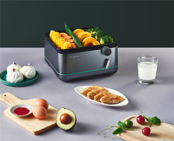 KRIBEE Multi-functional Fast Steamer 5S