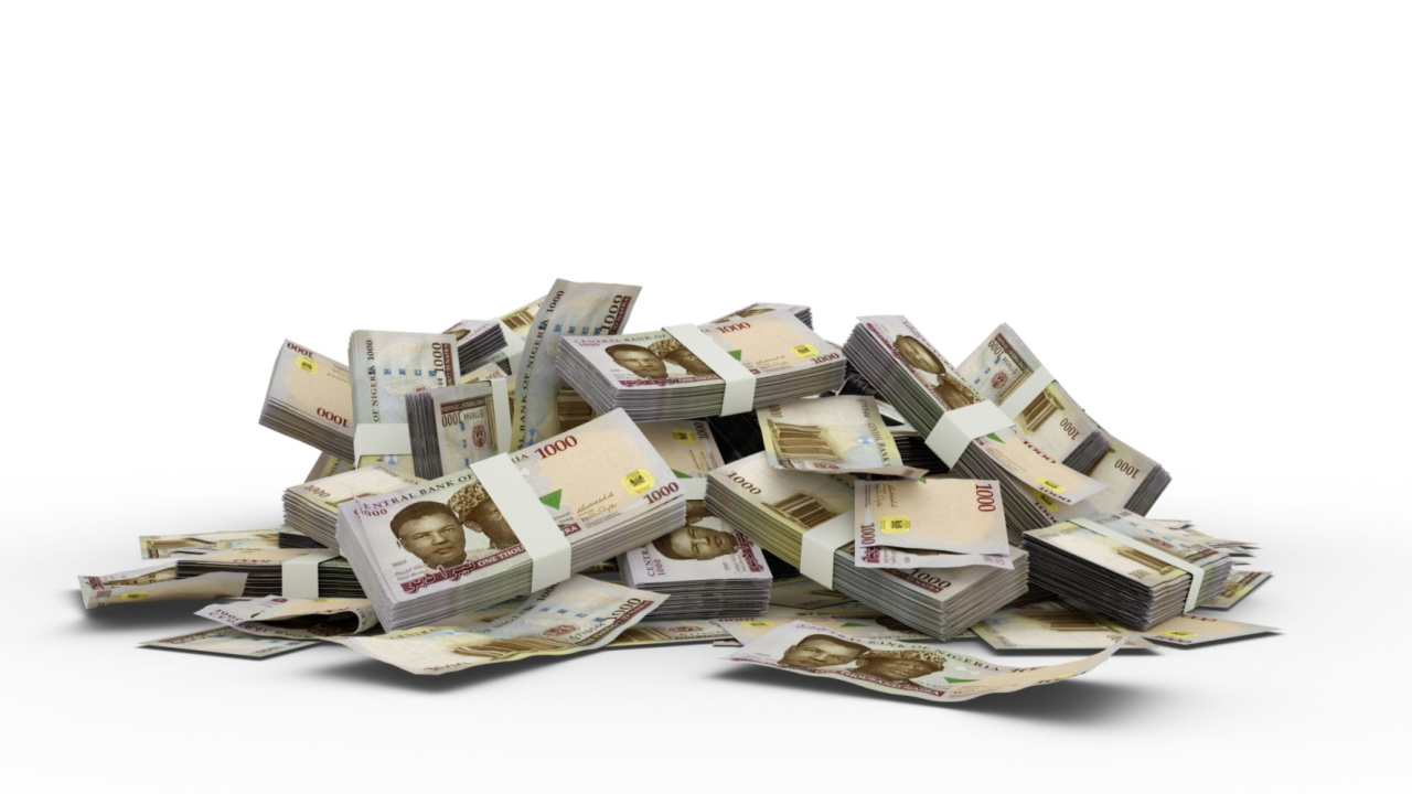 Nigerian Central Bank Told to Consider Floating the Naira, Recent Interest Rate Hike Slammed